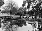 Dane Park Pond   | Margate History